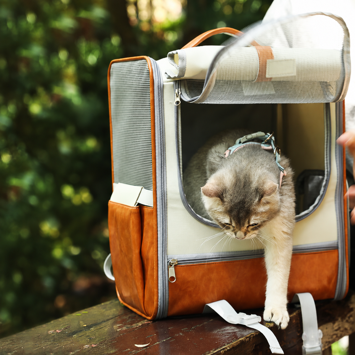 with Cat Voyage リュック型ペットキャリーバッグ 猫 小型犬 大容量 3方向メッシュ窓付き 通気設計